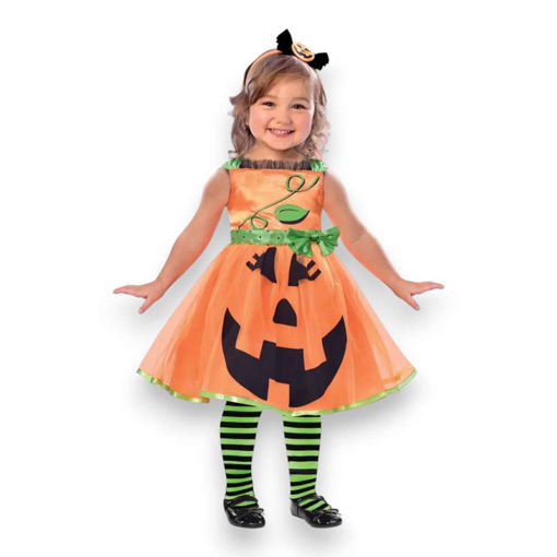 Picture of CUTE PUMPKIN COSTUME 2-3 YEARS